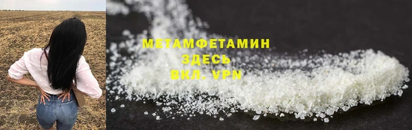 прущие грибы Ростов