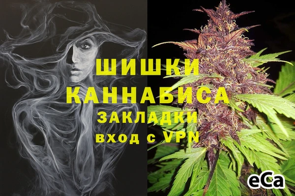 амф Рославль