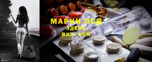 прущие грибы Ростов