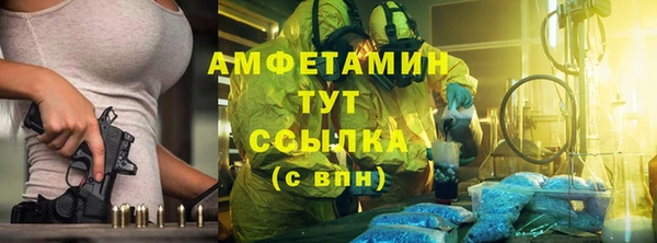 прущие грибы Ростов