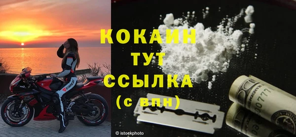 прущие грибы Ростов