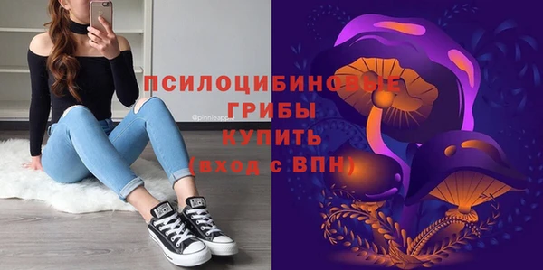 амф Рославль