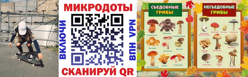 Псилоцибиновые грибы мухоморы  наркошоп  ОМГ ОМГ ТОР  Талица 